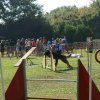 agility verriere 2011-10-01